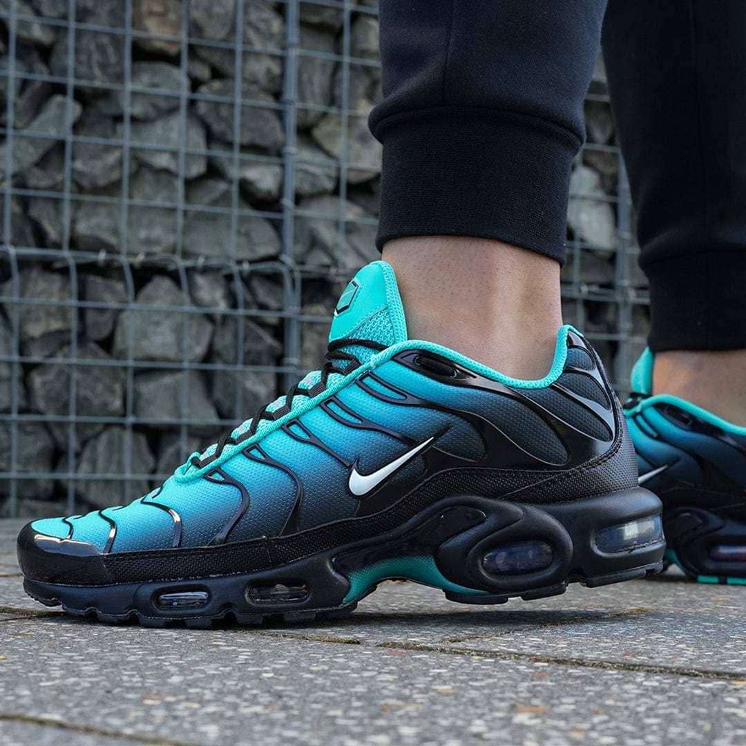 TN's