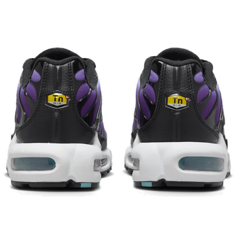 Purple Footlocker Blue Tns Men's Nike Air Max Plus TN 'Disco